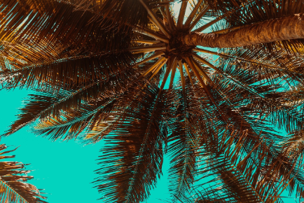 e2c75d31850e4db42729c40682a9c84b_1755761694_4612.png