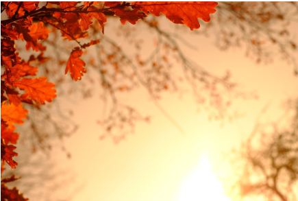 a57409983125a5539d52a6a4829e4cb5_1761722312_998.png a57409983125a5539d52a6a4829e4cb5_1761722312_998.png