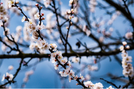 e6a23db471d1d92df8fa0df68fc47a85_1775454349_9766.png e6a23db471d1d92df8fa0df68fc47a85_1775454349_9766.png